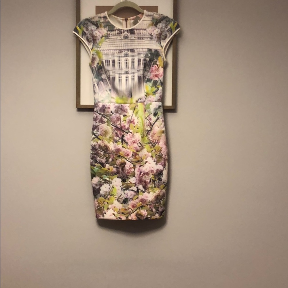 Ted Baker dress